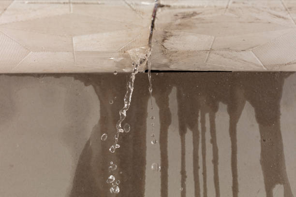Professional Water Damage Repair technician working in Skellytown, TX